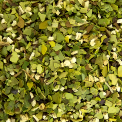 Maté Menthe